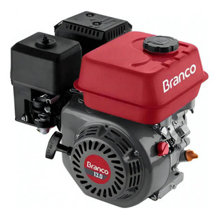 MOTOR B4T 13.0 HP C/ ALERTA DE OLEO Partida Manual BRANCO em Oferta na Shopee