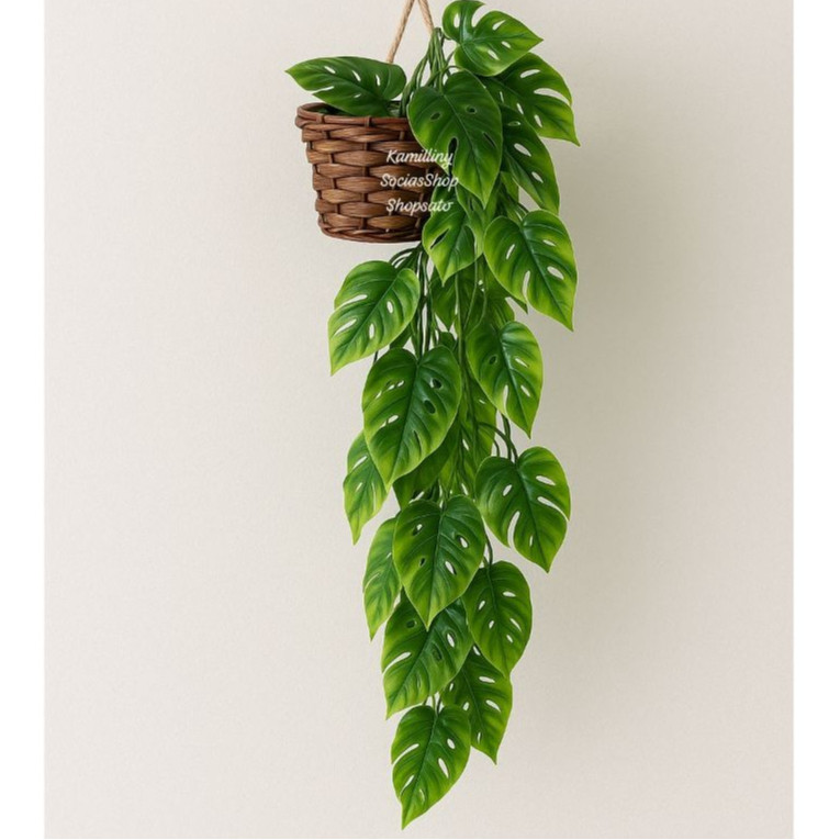 Arranjo Vaso Vime PT11 + Planta Pendurada COSTELA DE ADÃO Verde Artificial Parede Varanda, Decoração Vertical Enfeite em Oferta na Shopee