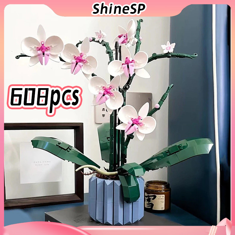 Buquê de Orquídeas: Onde Comprar | BuscaProdutos