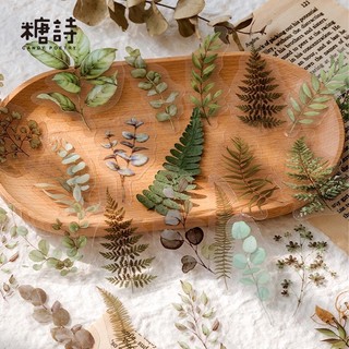 Adesivos Pré-Cortados Transparentes Com Tema Natural Para Scrapbooking Flora Green Plants Decalques Decorativos Estético