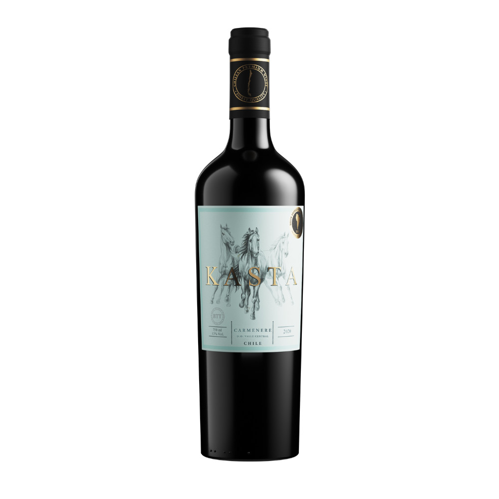 VINHO CHILENO KASTA SELECCION TINTO CARMENERE 750ML