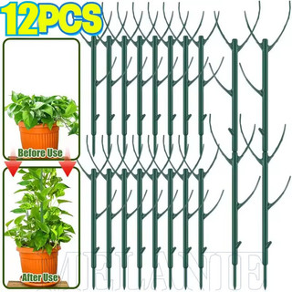 3-12 Pcs Suporte Para Plantas De Galho-Pilha De Verdes-Estacas-Suportes Fixação De Crescimento-Hastes Fixas Reutilizávei