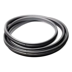 Borracha Da Porta Dianteira Le/ld Renault Nova Duster 2021 Em Diante Original