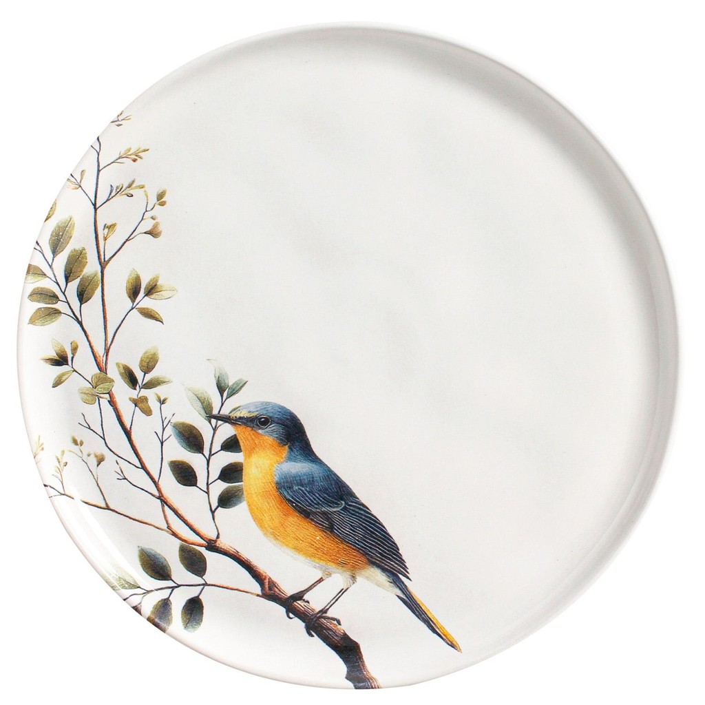 Conjunto com 6 Pratos Raso Bio Birdy em Oferta na Shopee