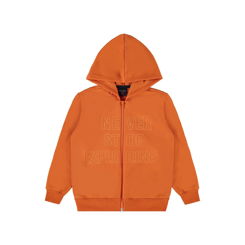 Jaqueta de Moletom Infantil para Menino Guloseima em Oferta na Shopee
