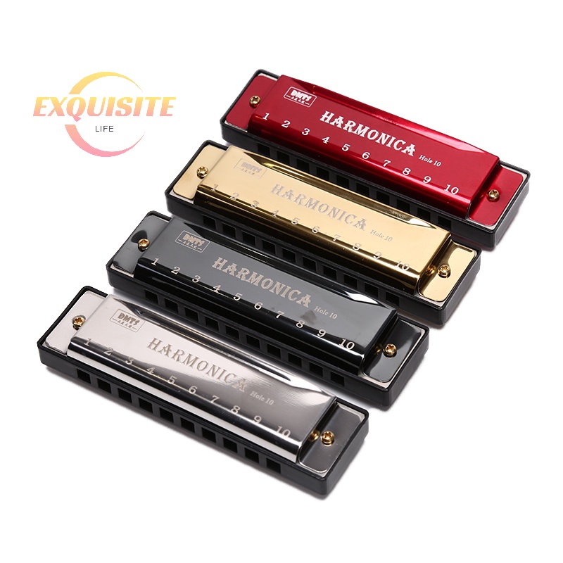 [EL] 10 Hole Harmonica Puzzle De Órgãos Da Boca Instrumento Musical Ensino Para Iniciantes