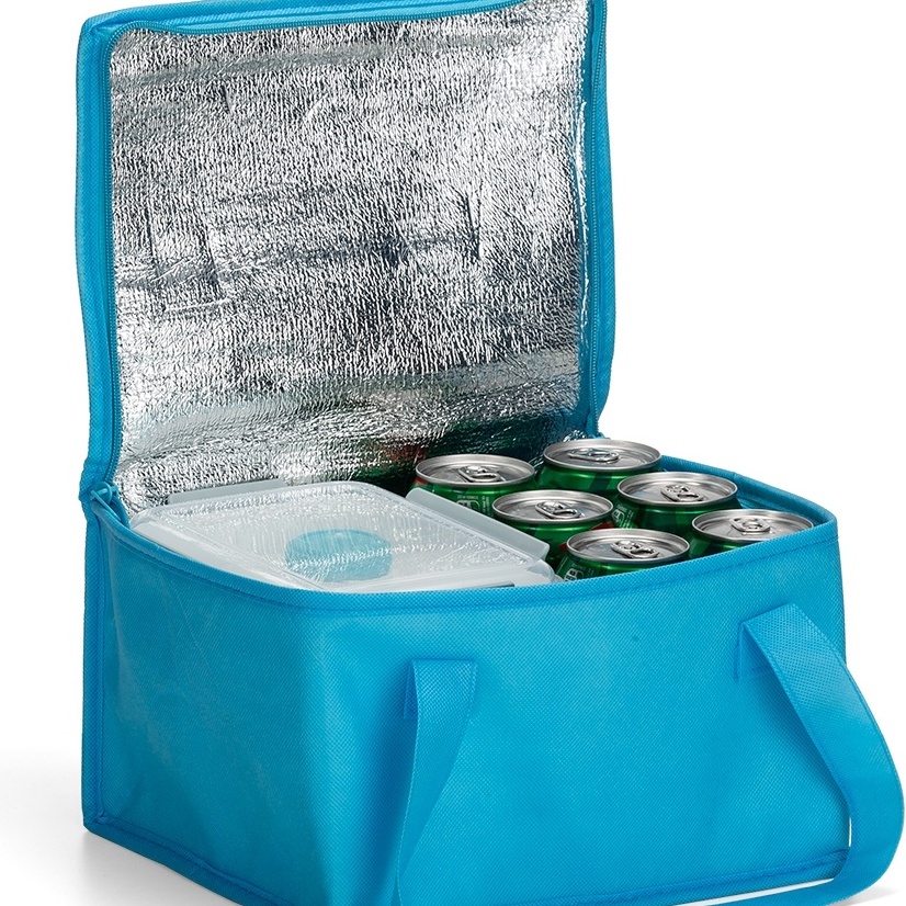 Bolsa térmica 10 litros para marmita saudável e porta latas para praia churrasco em Oferta na Shopee