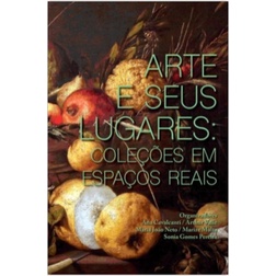 ARTE E SEUS LUGARES - Coleções em espaços reais autor Ana Cavalcanti; Arthur Valle; Maria João Neto