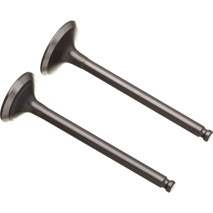 Valvula Admissao Escape Yamaha Crypton 105/115 1997 a 2014 em Oferta na Shopee