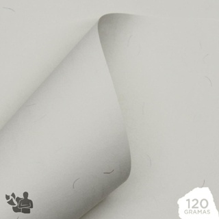 Papel Filigranado Moeda 120g A4 (210x297mm) 10 Folhas em Oferta na Shopee