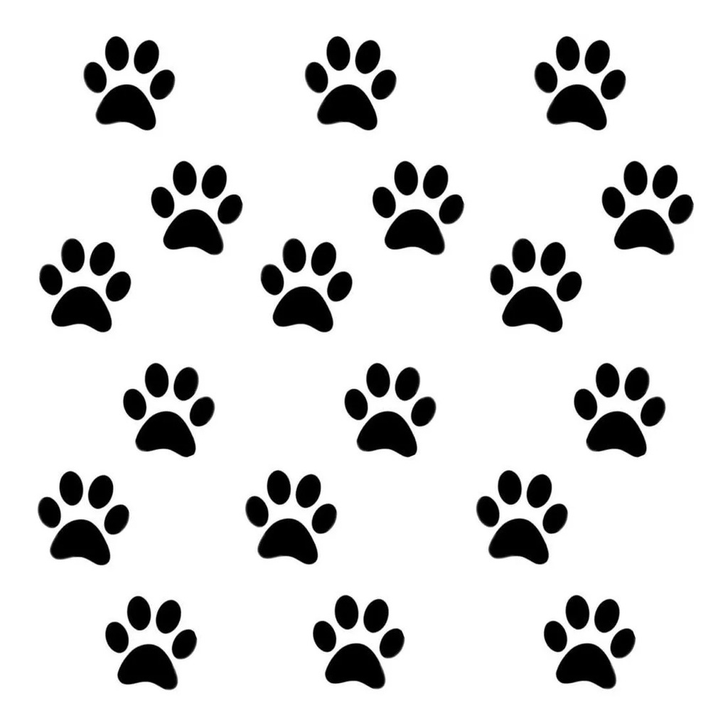 O que é Pegadas de Cachorro? Guia e Onde Comprar | BuscaProdutos