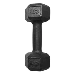 1 Halter Sextavado de 5kg Pintado Preto Ferro Fundido Exercícios Em Casa e Academia