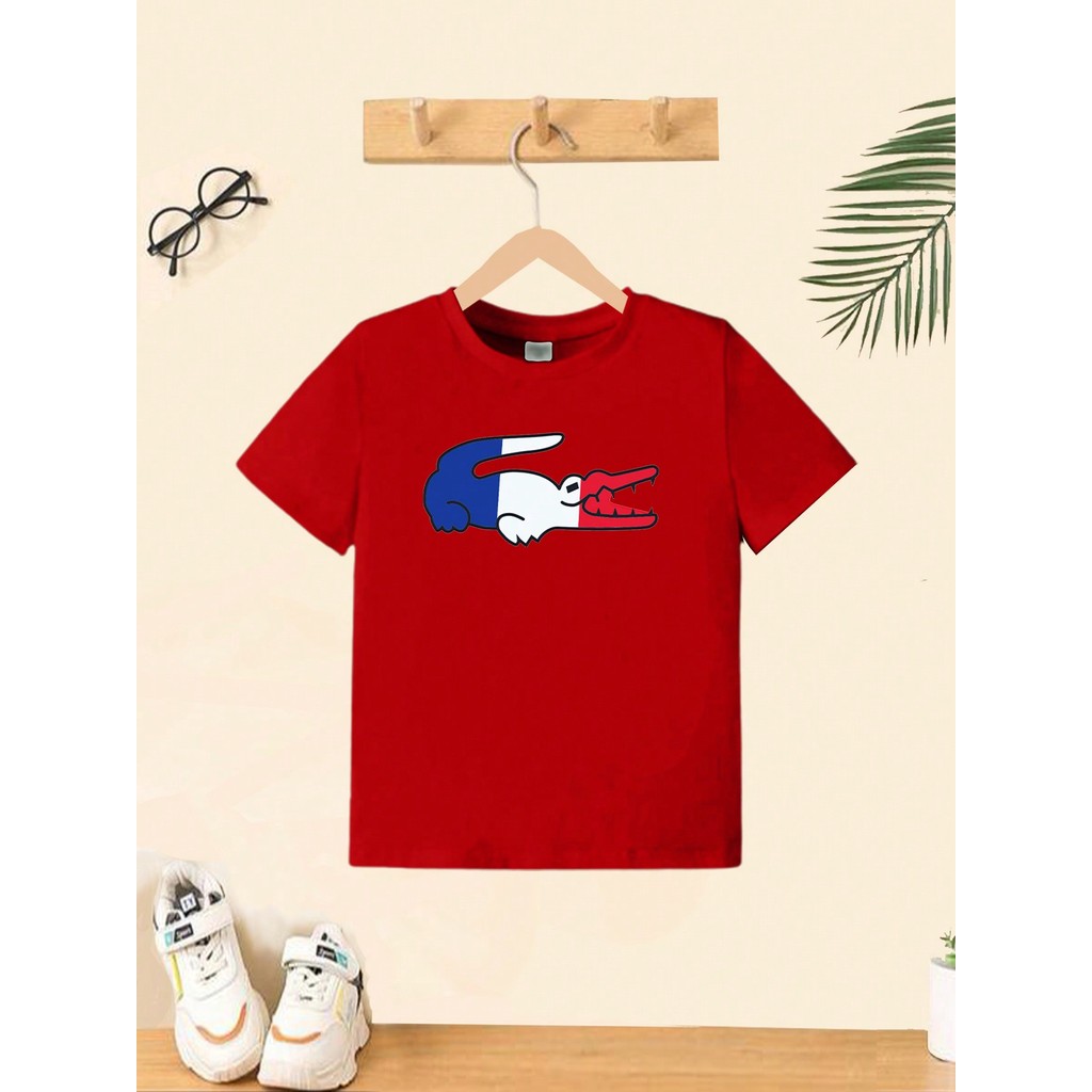 Camiseta Infantil  Françes Menino Roupa Criança Masculino