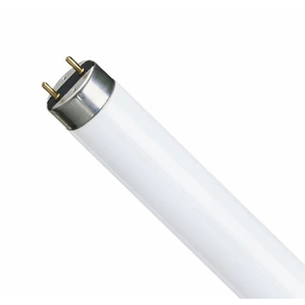 Lâmpada Tubular 20W T10 LDE - Philips - 25 Unidades