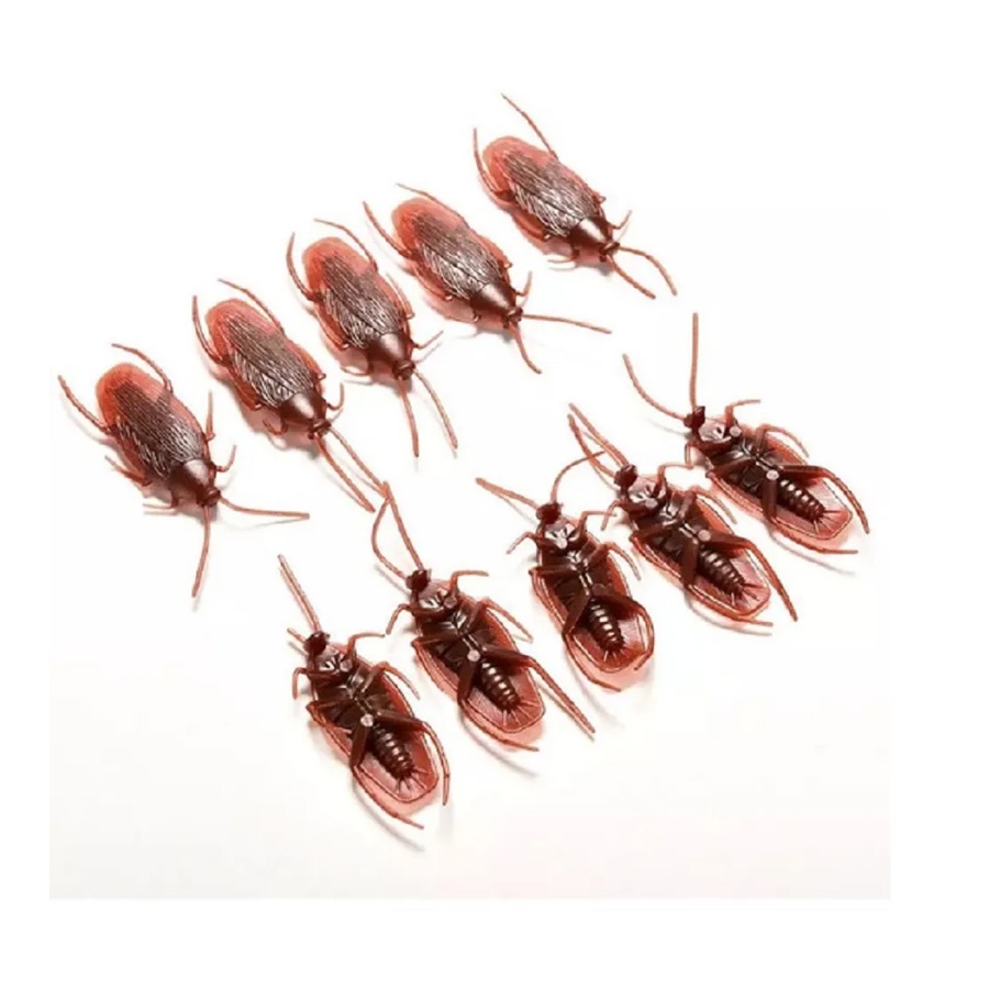 Barata de Plástico - 12 unidades - BrasilFlex - Rizzo em Oferta na Shopee