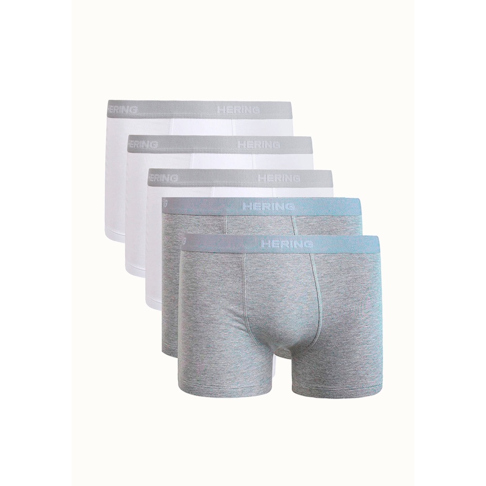 Kit 5 Cuecas Boxer Com Elástico Personalizado Hering - Men Clothes
