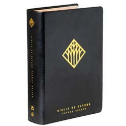 Bíblia De Estudo Thomas Nelson | Caixa Box | NVI | Capa Luxo Preta