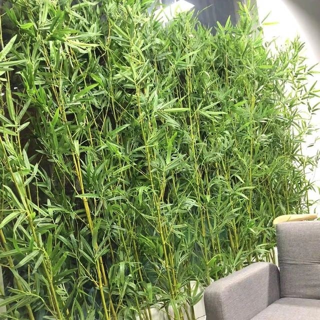 Haste De Bambu 2 Metros Artificial Folhagem Decoração Para Arranjos Decoração — imagem 2 de 2