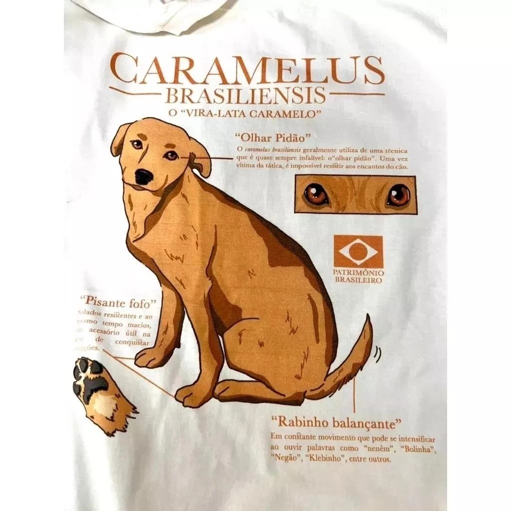 Camiseta Cachorro Unissex Caramelo Brasiliensis 100% Algodão fashion em Oferta na Shopee