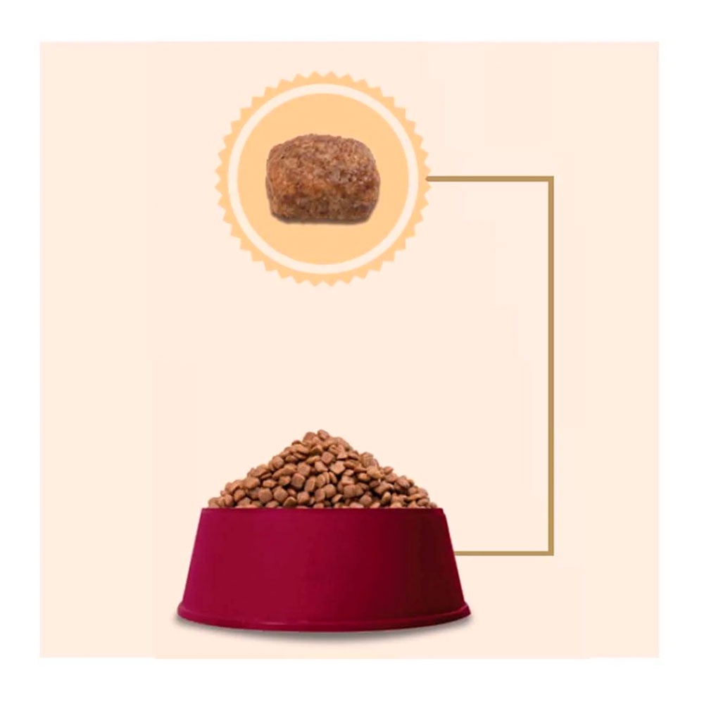 Detalhes do Ração GranPlus Menu Para Cães Adultos Porte Mini Sabor Carne e Arroz 1kg