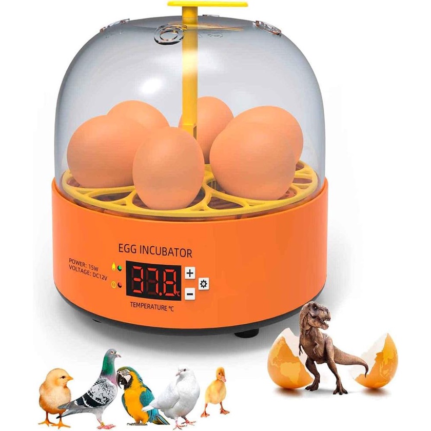 Mini Incubadora Chocadeira Eletrica 6 Ovos Automatica