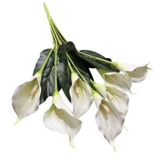 Buquê de Copo de Leite com Folhas Artificial Toque Real em Oferta na Shopee