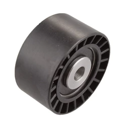 Polia Guia Correia Dentada Citroen C4 2006 a 2015 - 166028 - 4525