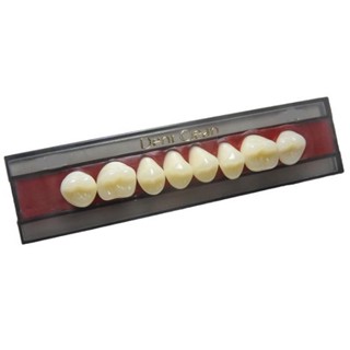 DENTE ACRILICO DENTE CLEAN 36L I 60 POSTERIOR INFERIOR - STYLLO