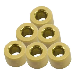 Kit C/ 6 Roletes Embreagem Lead 110 13g Todas