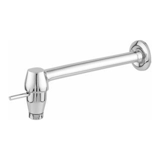 Torneira de Parede para Cozinha Tipo Cree 22cm - LIDER METAIS