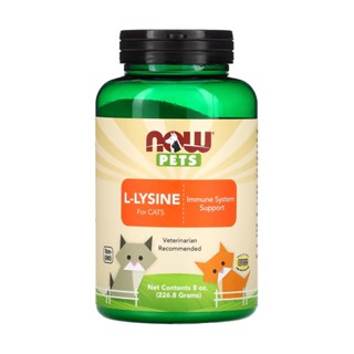 L-lisina em Pó p/Gatos Now Foods Pets 226.8g Importado