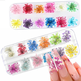 Kit 24 Flores Secas Naturais para Encapsulamento de Unhas  2 Caixas Organizadoras em Oferta na Shopee