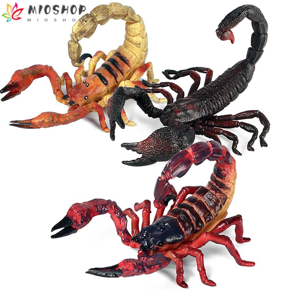MIOSHOP Modelo De Escorpião Cenas Científicas De Adereços Para O Halloween