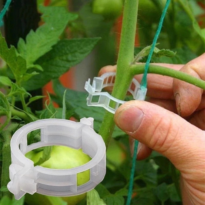 Clip De Planta 100Pcs Fivela Clipes De Suporte Abraçadeiras De Plástico Suporta Ferramentas — imagem 2 de 2