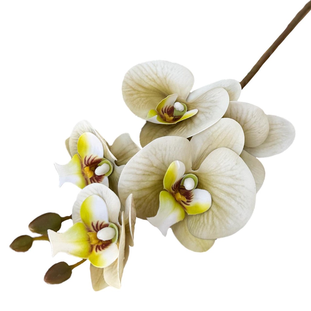 Kit 5 Hastes de Orquídea 3D 70cm Artificial Para Decoração