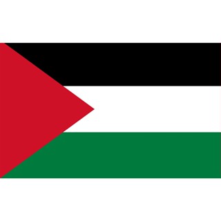 Bandeira Palestina Sublimada Dupla Face Dois Panos Duas Medidas em Oferta na Shopee