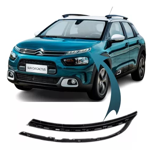 Friso Farol S/moldura Cromada C4 Cactus 2019 20 21 22 23 24