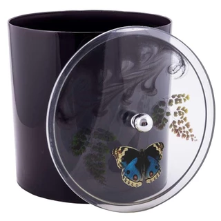 Lixeira Decorada Preto com Borboleta Azul Escuro