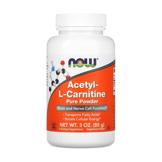 Acetil L-carnitina em Pó Now Foods 85g Puro Importado