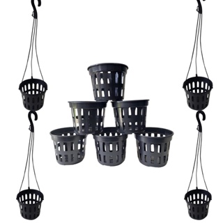 Kit 30 Vasos Vazados P/ Plantas Orquídeas Pote 15+30 Hastes em Oferta na Shopee