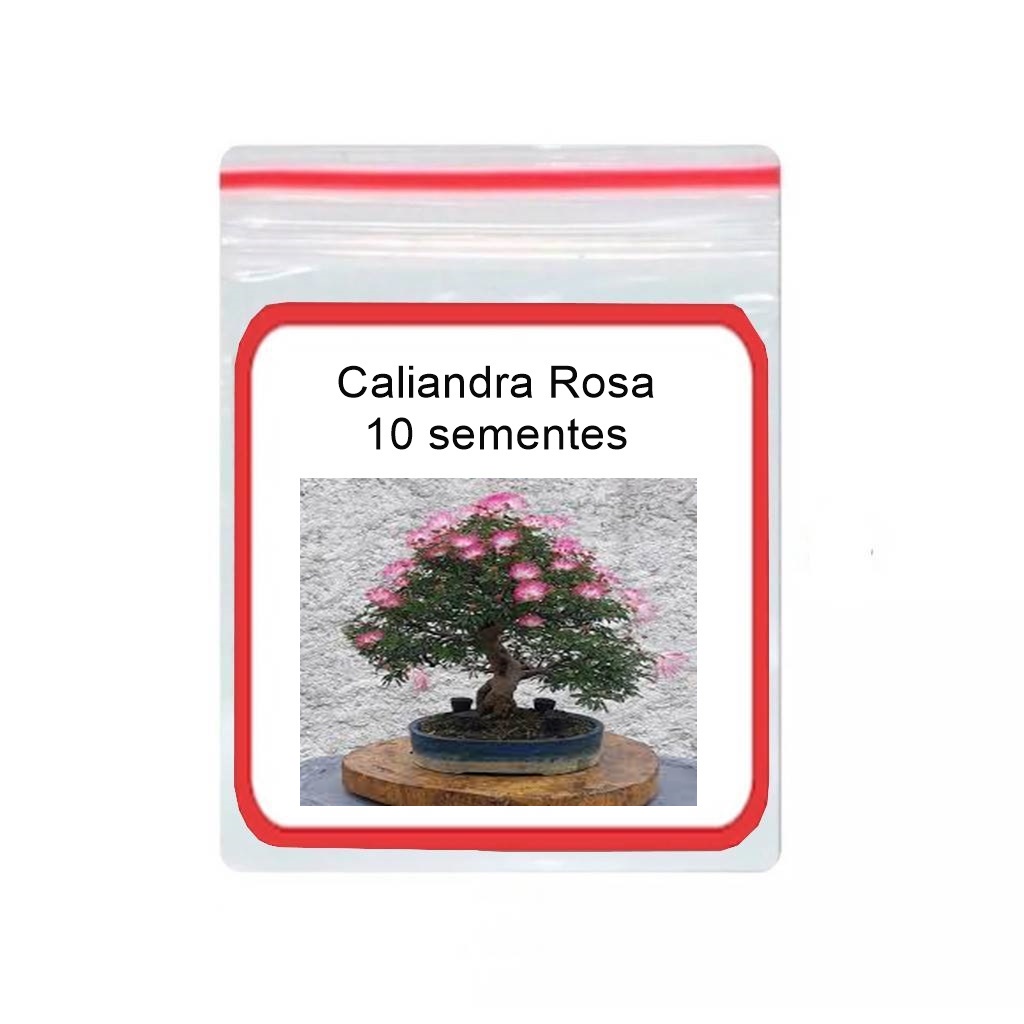 10 Sementes Bonsai Albizia Julibrissin Caliandra Rosa ornamental