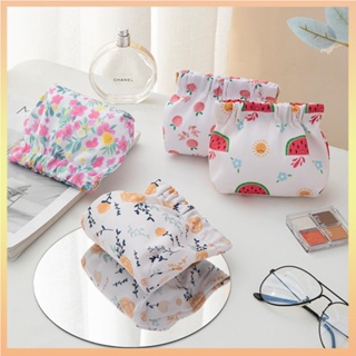 Conjunto De Bolsas De Cosméticas Pequenas Cosmética Femininas Zipper Girls Mini Guardanapos Sanitários Maquiagem Sacos Para Batom De Viagem Organizadoras De Moedas Fones De Ouvido em Oferta na Shopee