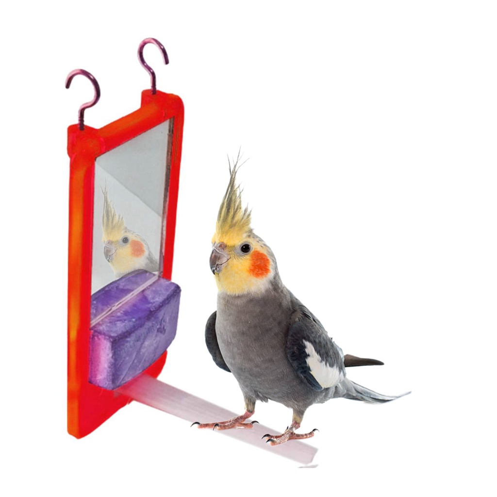 Brinquedo Bica Bica C/ Pedra de Calcio e Espelho - Calopsita , passaros e aves diversas em Oferta na Shopee