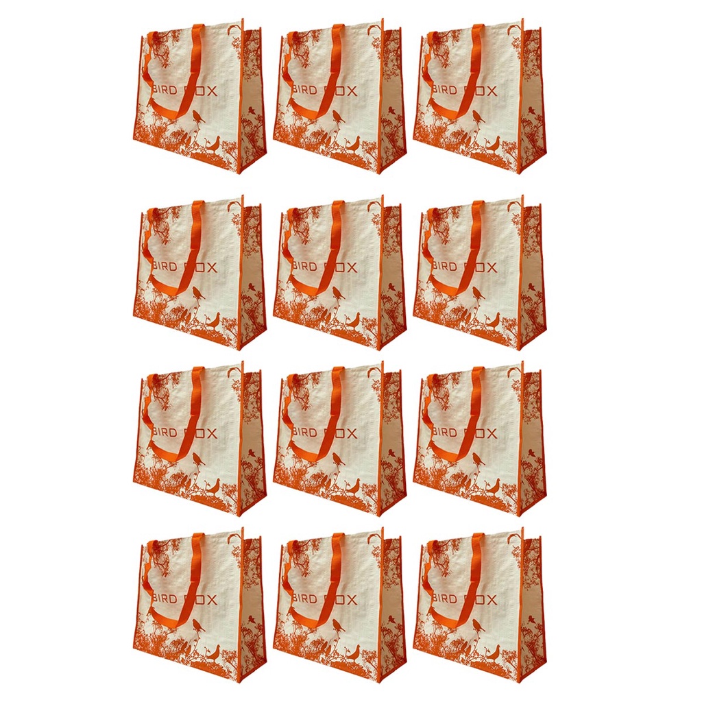 Bolsa Ecobag Ecologica Sacola de Ombro Retornavel Kit 12 Unidades  Reutilizavel Mercado Compras Dobravel