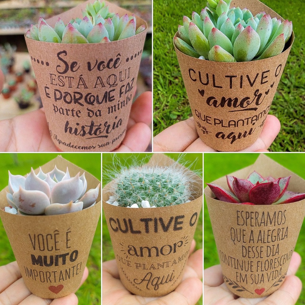 Rótulos Sortidos de Lembrancinha (para Cactos/Suculentas)