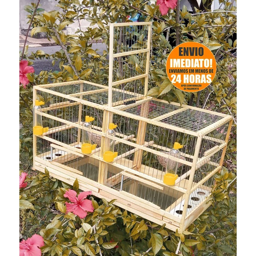 Kit 2 Gaiola Criadeira Chocadeira Para Coleiro Papa Capim Pintassilgo Canario Belga Gaiola Madeira