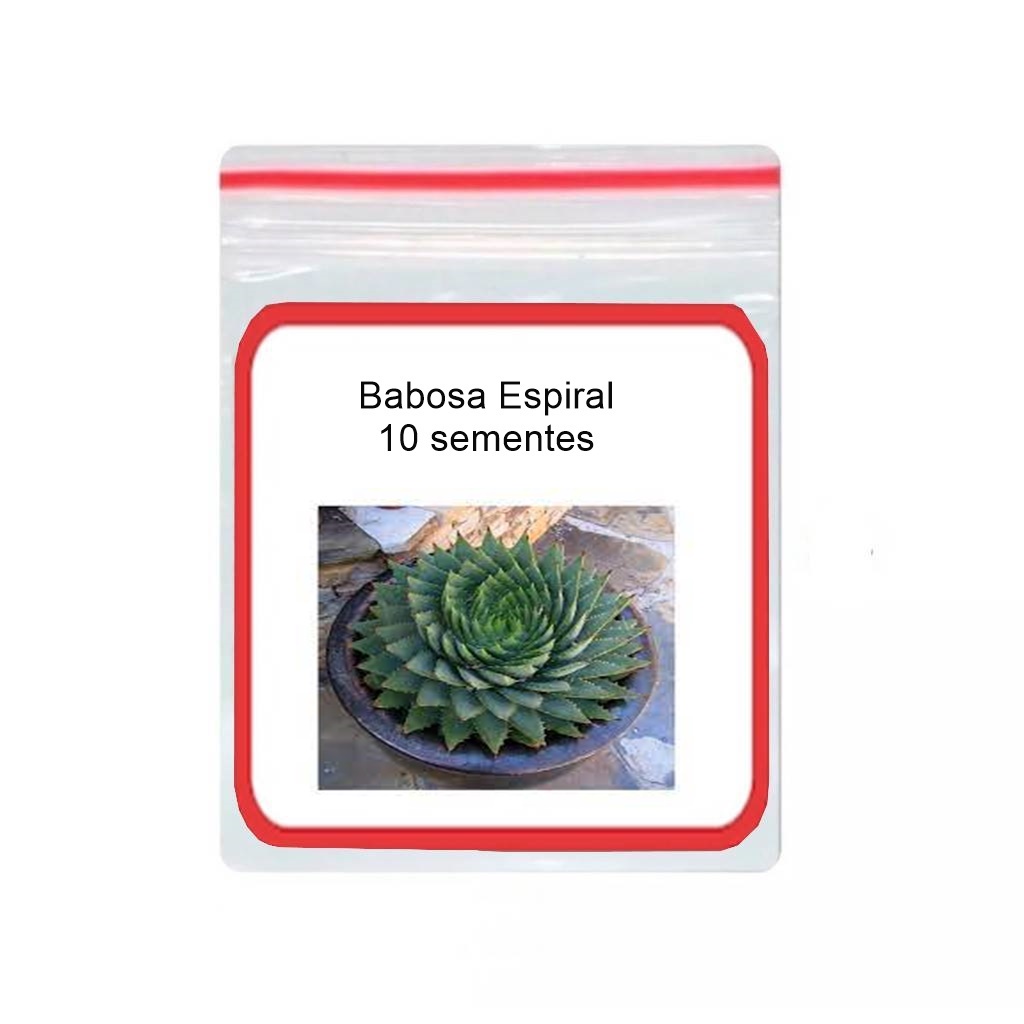 Babosa Espiral: Guia Completo e Onde Comprar | BuscaProdutos