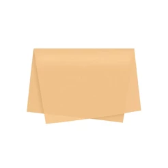 Papel de Seda - 50x70 - Creme - 10 unidades - Rizzo
