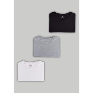 Kit Com 3 Camisetas Masculinas Básicas Slim Hering