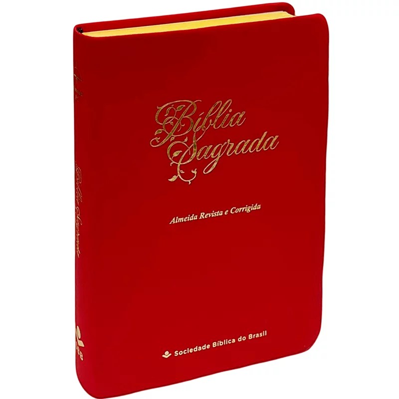 Bíblia Sagrada Economica | ARC | Letra Gigante | Capa Vermelho Luxo em Oferta na Shopee